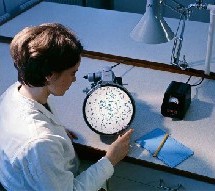 Se puede aprovechar un throw back en Novo&nbsp;Nordisk